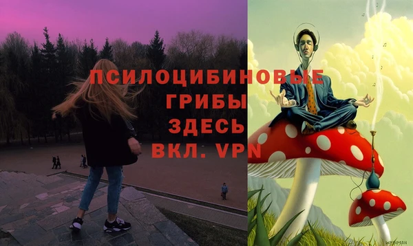 метадон Алексеевка