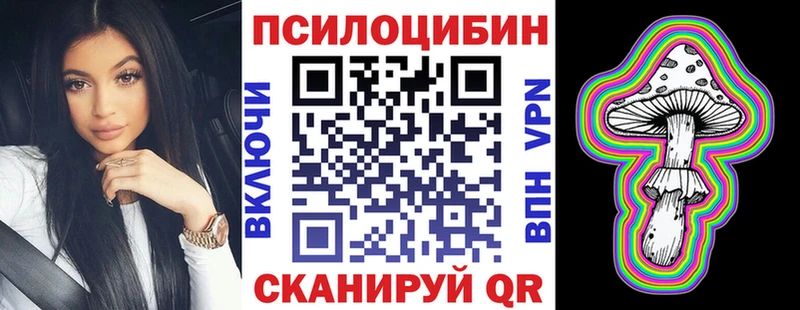 Псилоцибиновые грибы Psilocybe  Краснокамск 